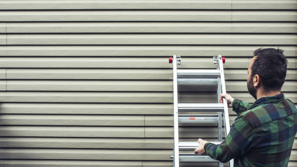 Best Historical Building Siding Restoration  in El Macero, CA
